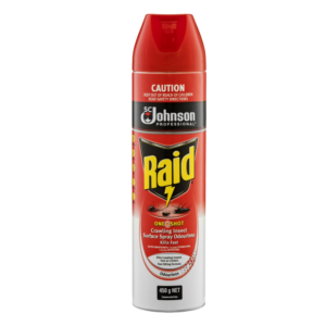 Raid Crawling Insect Killer Spray 450g